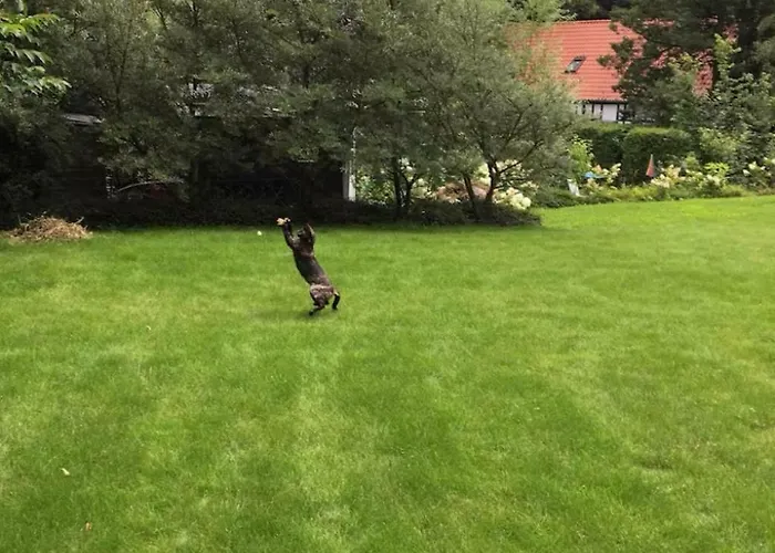 Lejlighed Little Something Tecklenburg